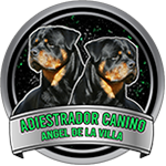 Adiestrador Canino Angel